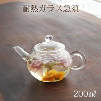 耐熱ガラス急須 200ml×5個