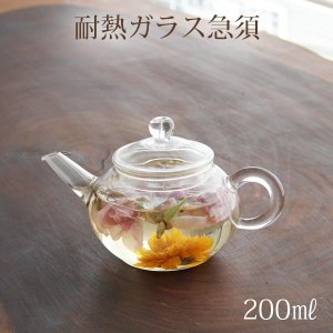 画像1: 耐熱ガラス急須 200ml×5個